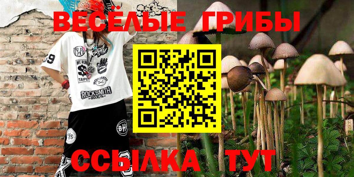 Гашиш Дальнегорск